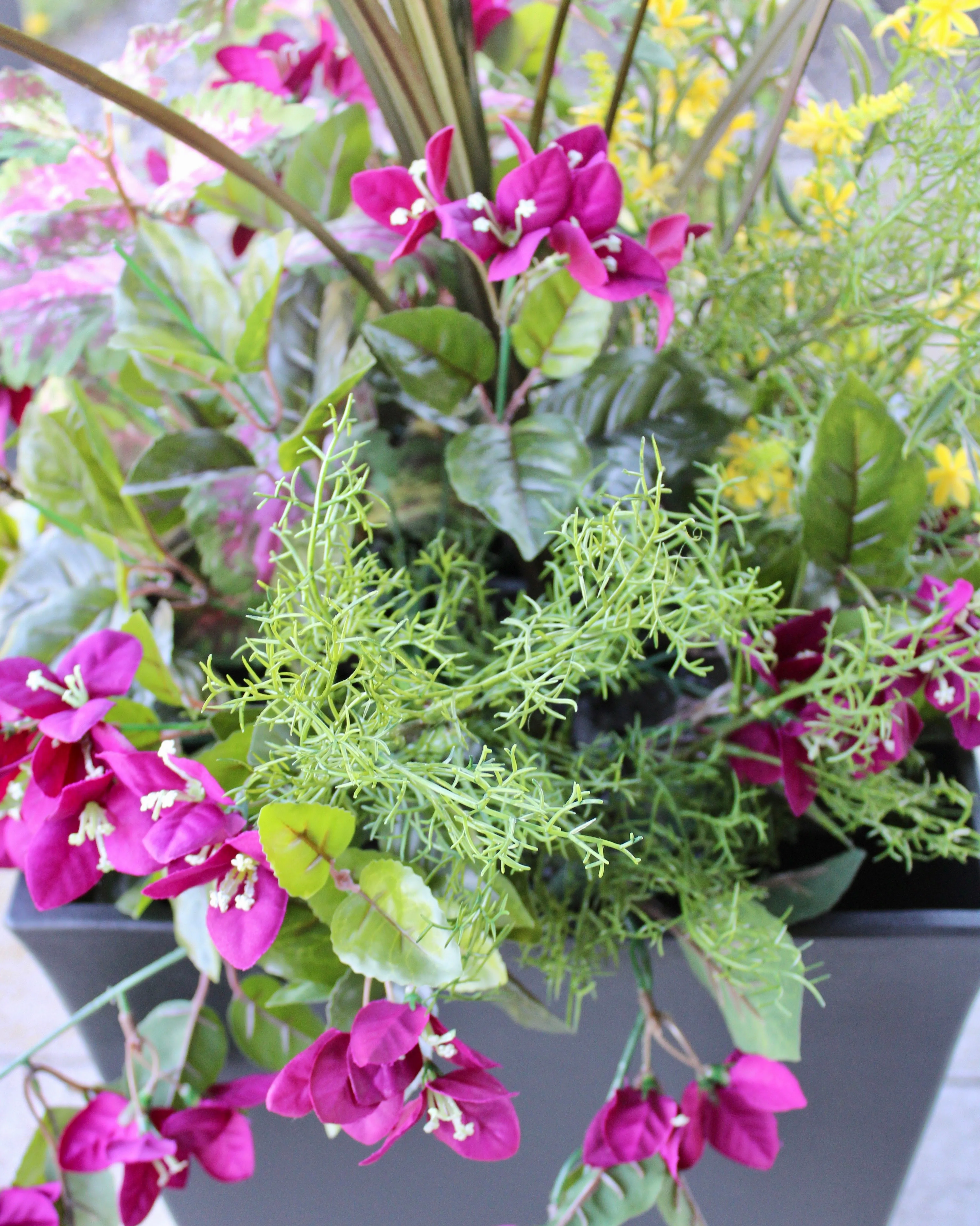 Blackberry Bougainvillea & Yellow Sweet Veronica “Drop-In” Insert