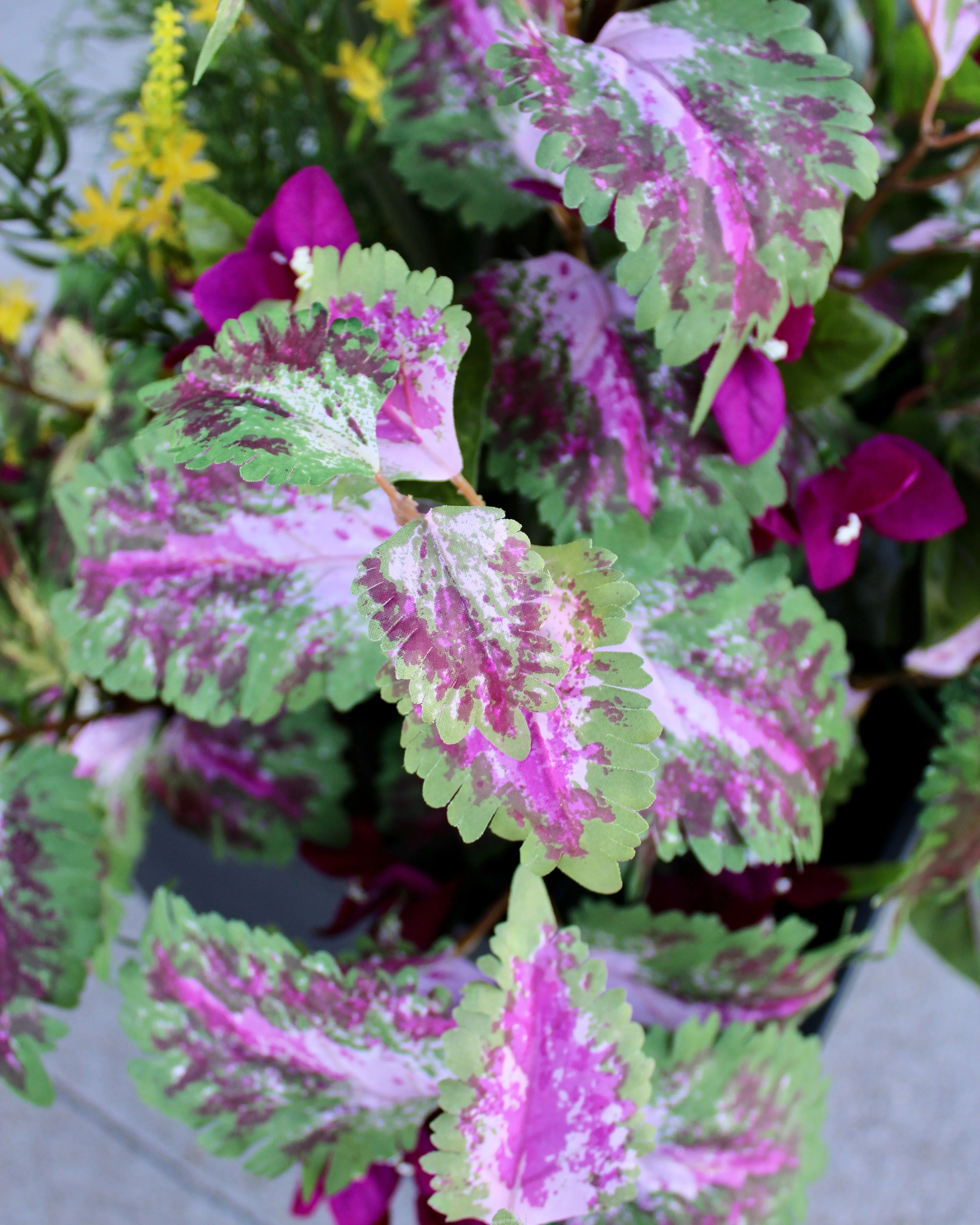 Blackberry Bougainvillea & Yellow Sweet Veronica “Drop-In” Insert