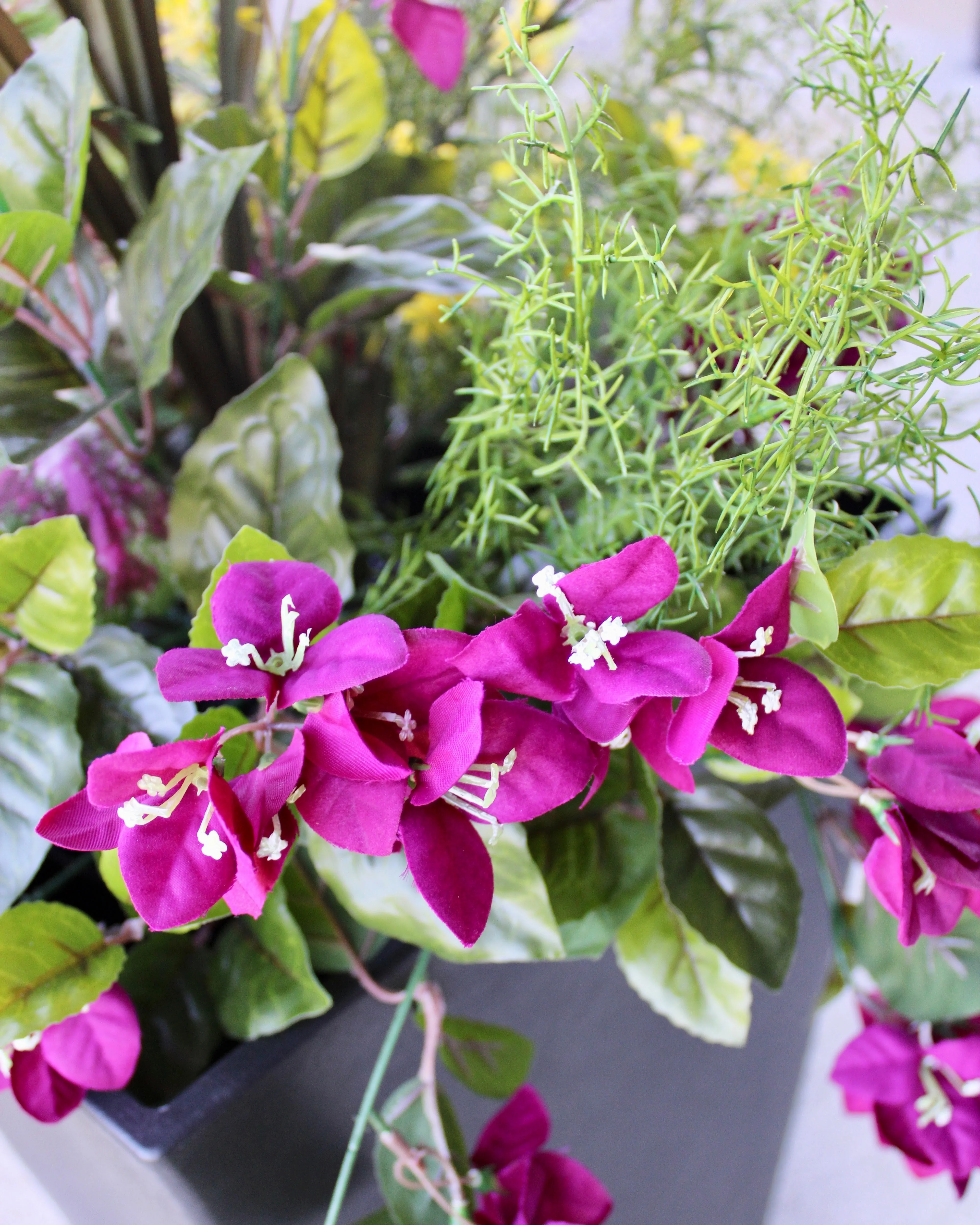 Blackberry Bougainvillea & Yellow Sweet Veronica “Drop-In” Insert
