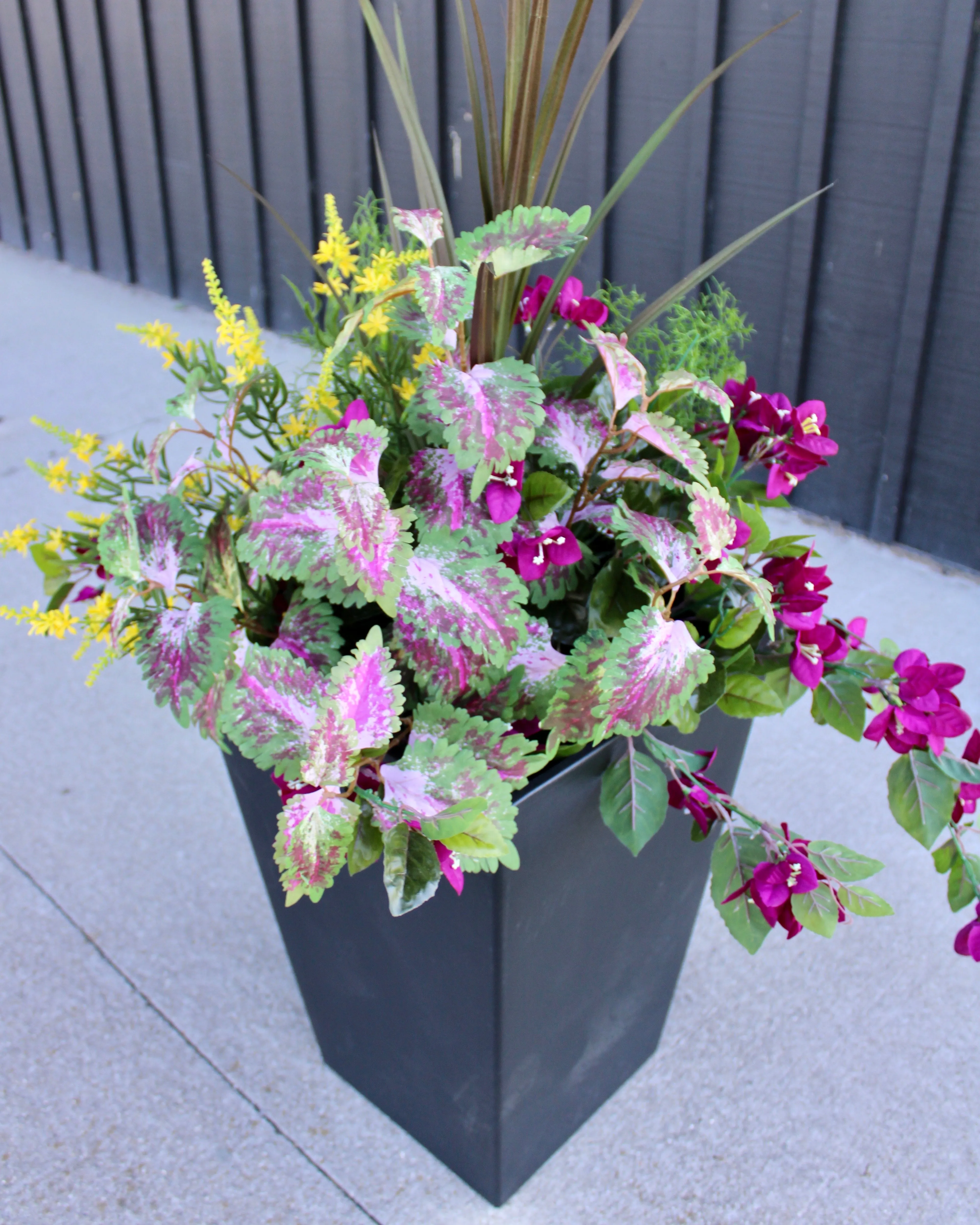 Blackberry Bougainvillea & Yellow Sweet Veronica “Drop-In” Insert