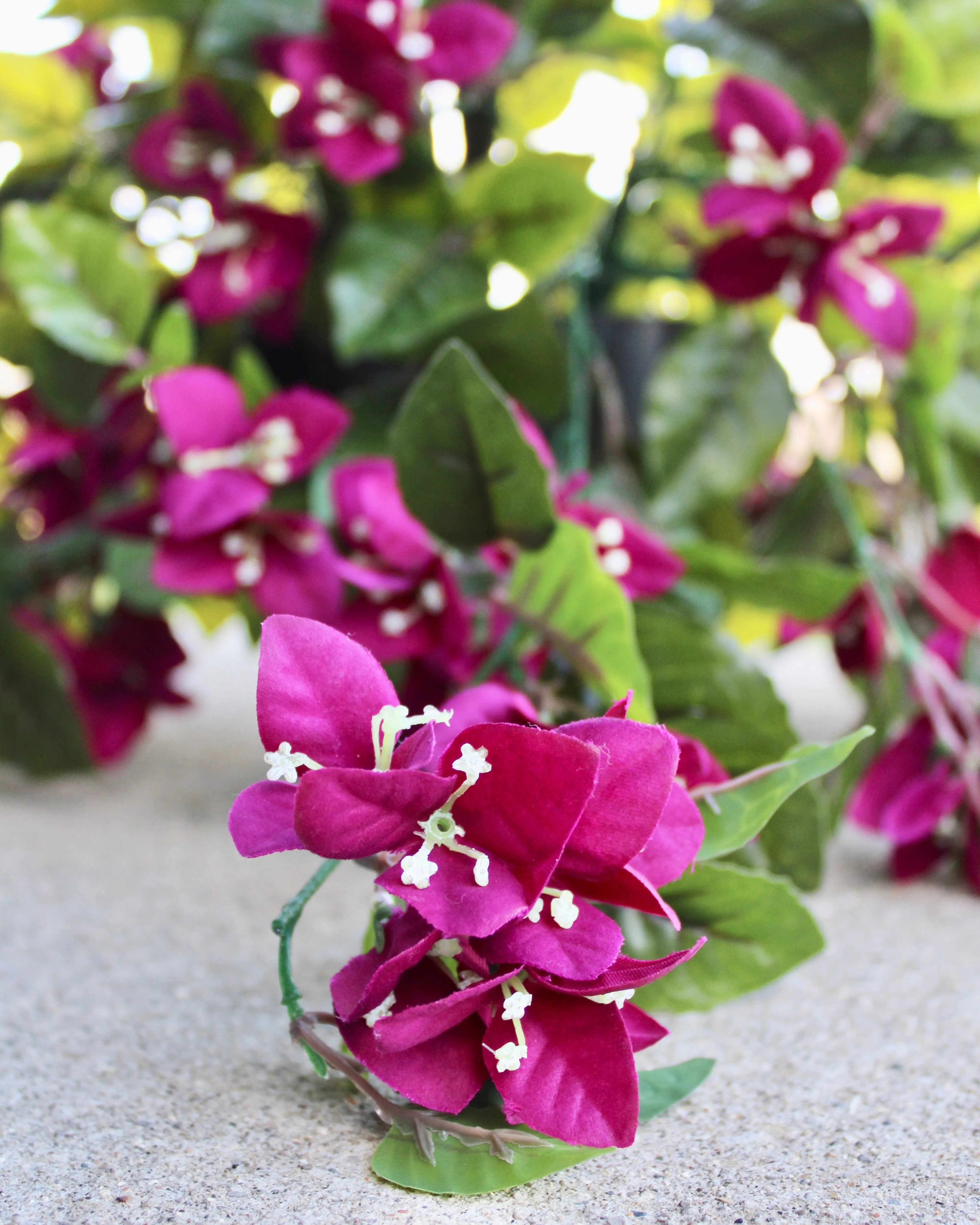 Blackberry Bouganvillea Vine “Drop-In” Insert