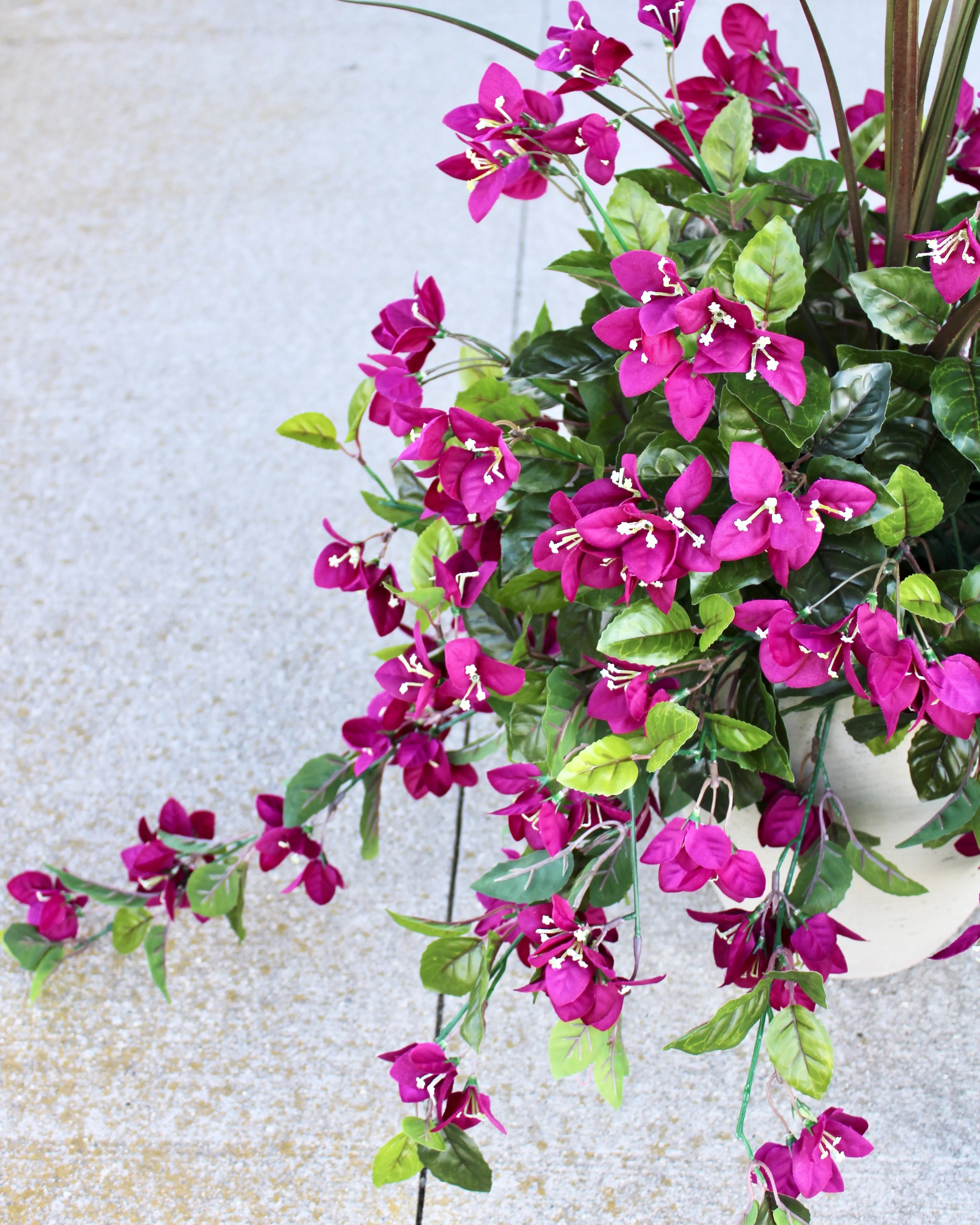 Blackberry Bouganvillea Vine “Drop-In” Insert