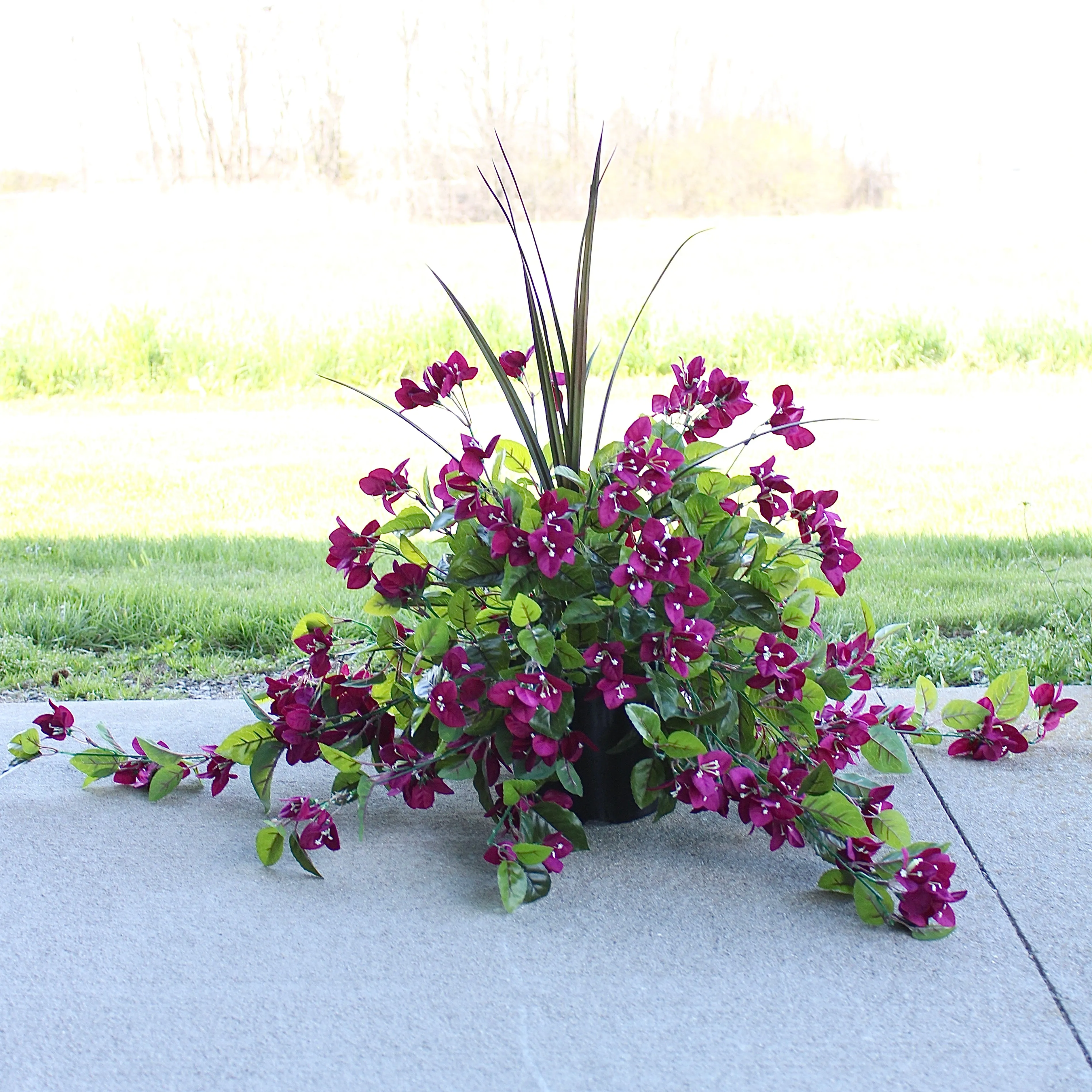 Blackberry Bouganvillea Vine “Drop-In” Insert