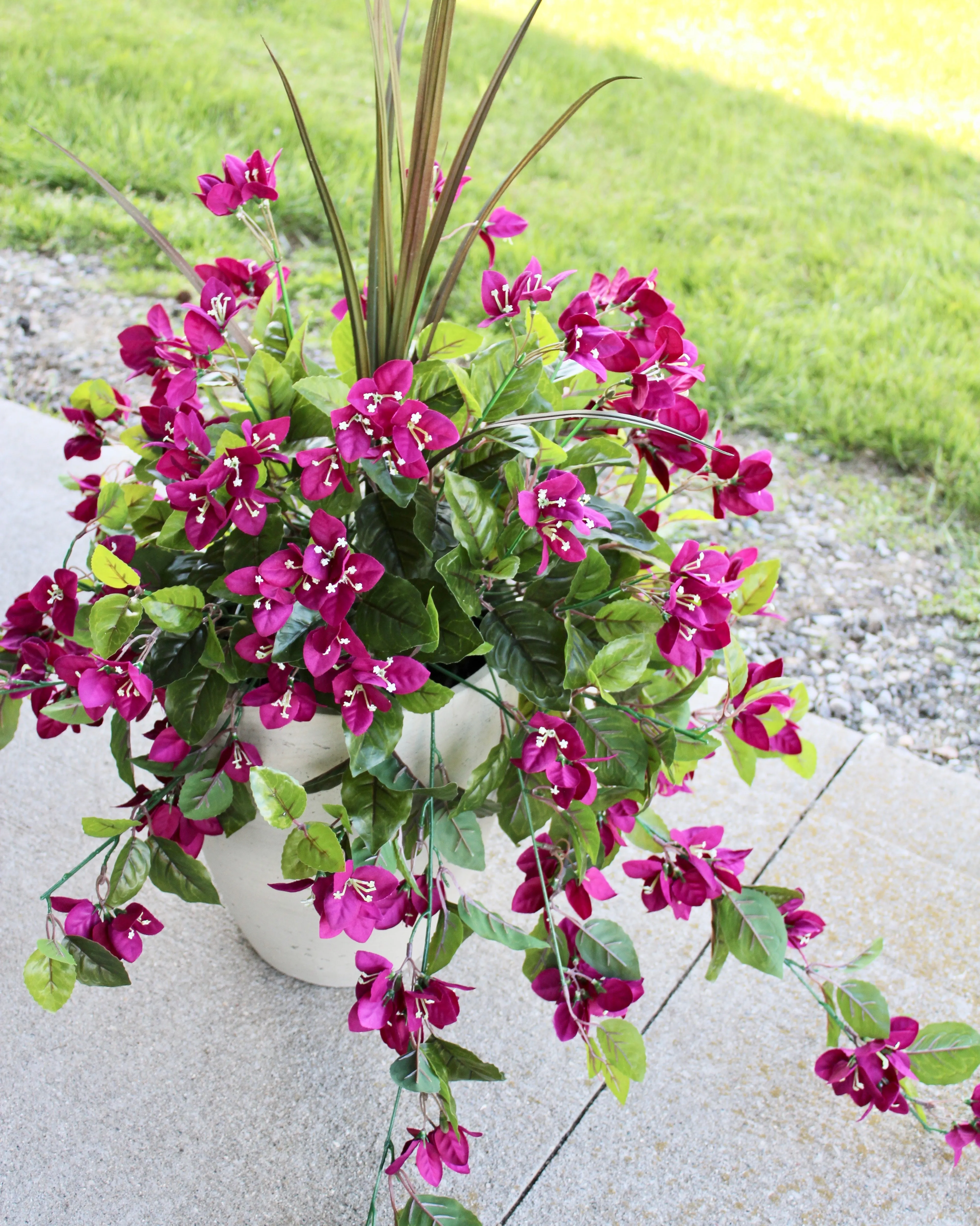 Blackberry Bouganvillea Vine “Drop-In” Insert