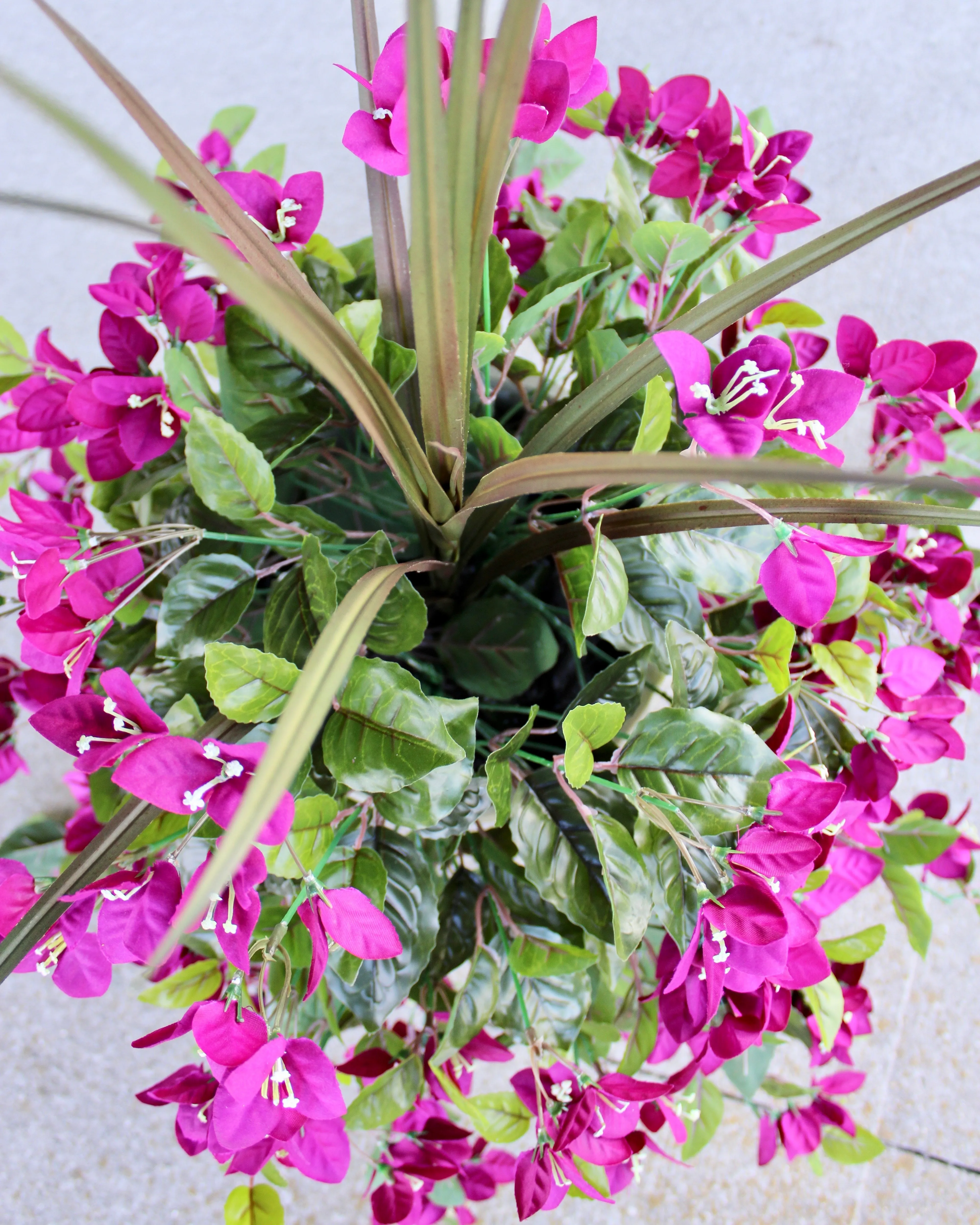 Blackberry Bouganvillea Vine “Drop-In” Insert