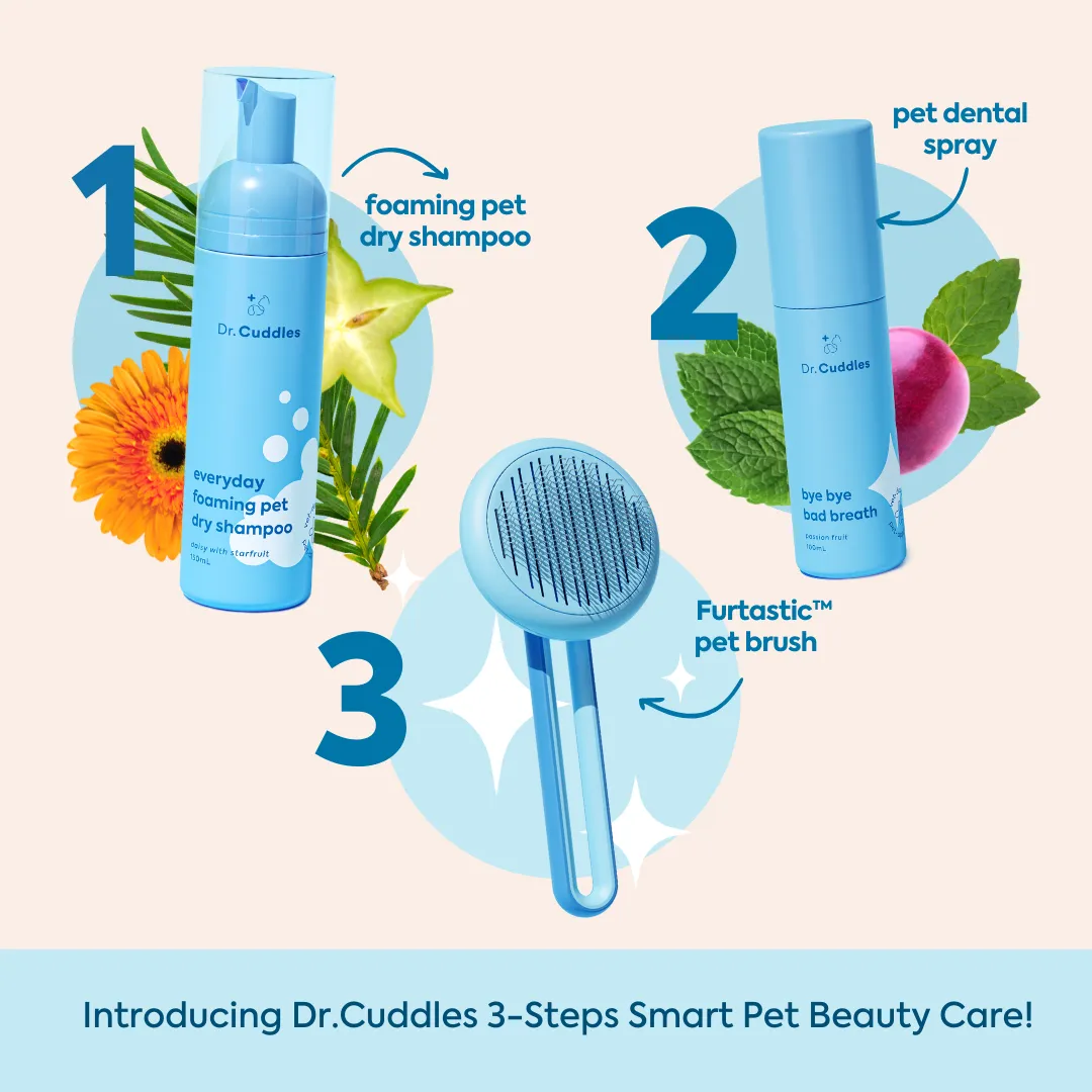 Foaming pet dry shampoo