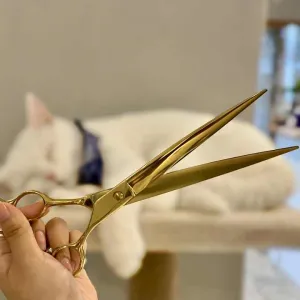 Inch Pet Item Animals Dog Grooming-مقصات العناية بالكلاب