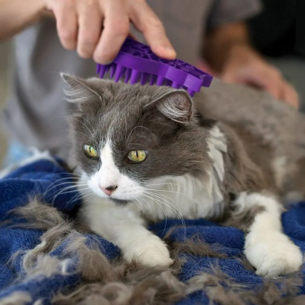 Kong Zoom Groom Brush for Cats