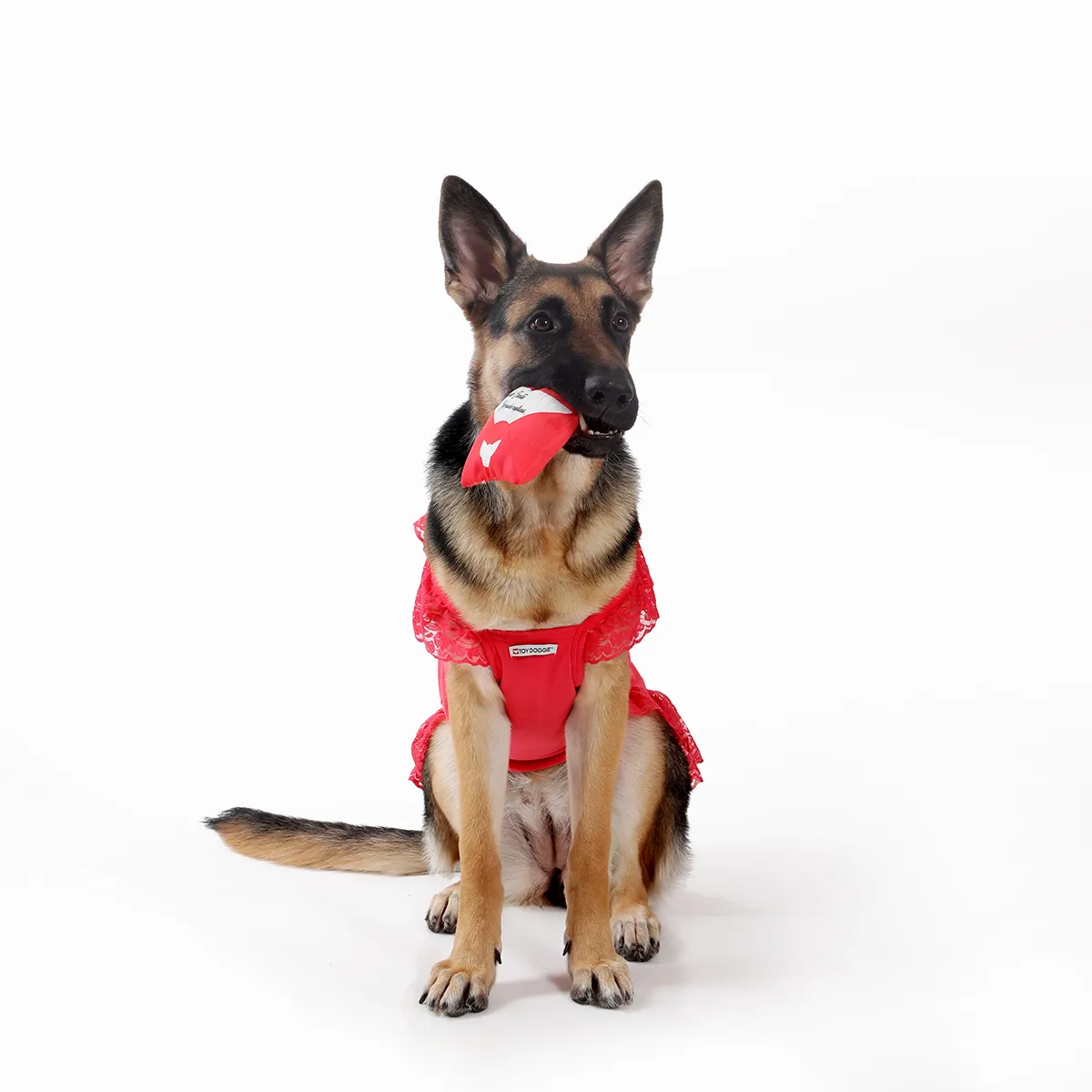 Querido Santa | Dear Santa Paws Letter Stuffed Dog Toy